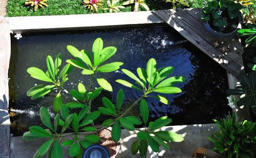 Baan Hanibah Chiang Mai Ngoại thất bức ảnh